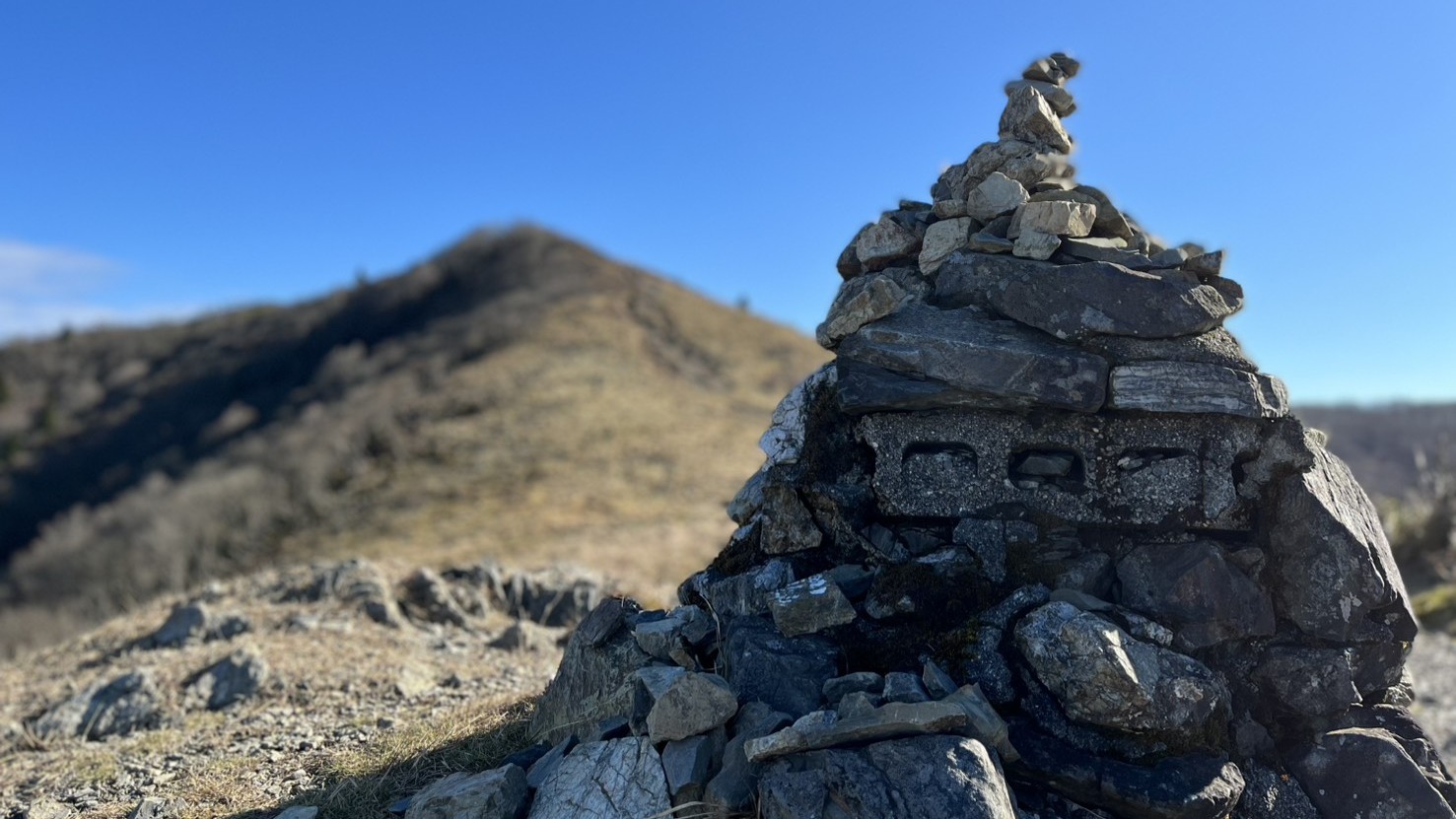 サマーシーズン活動写真2