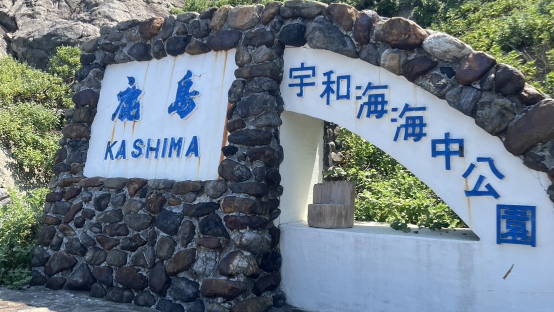 サマーシーズン活動写真3